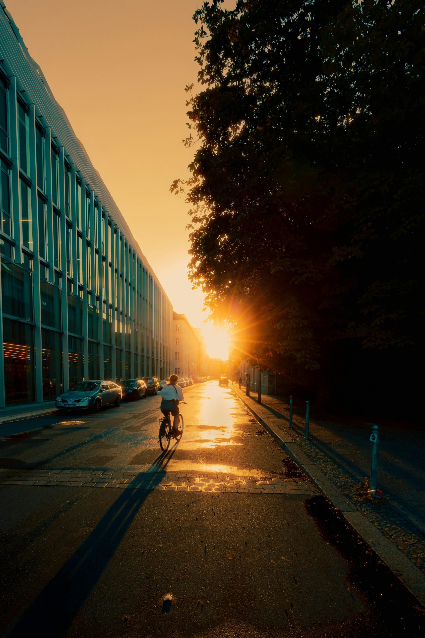 welcomeberlin app relocation immigration help fachkraft gewinnen berlin find your guide