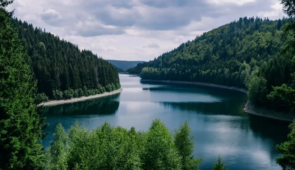 Business consulting, accounting, and tax registration services in Berlin for freelancers and startups