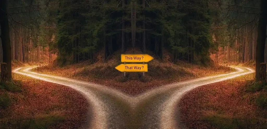 Expats comparing service providers on WelcomeBerlin with a highlighted Pro Listing at the top